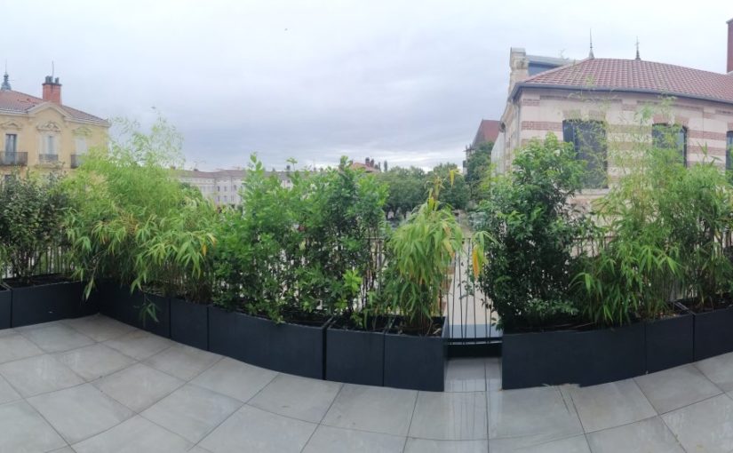 Plantation en bacs sur terrasse