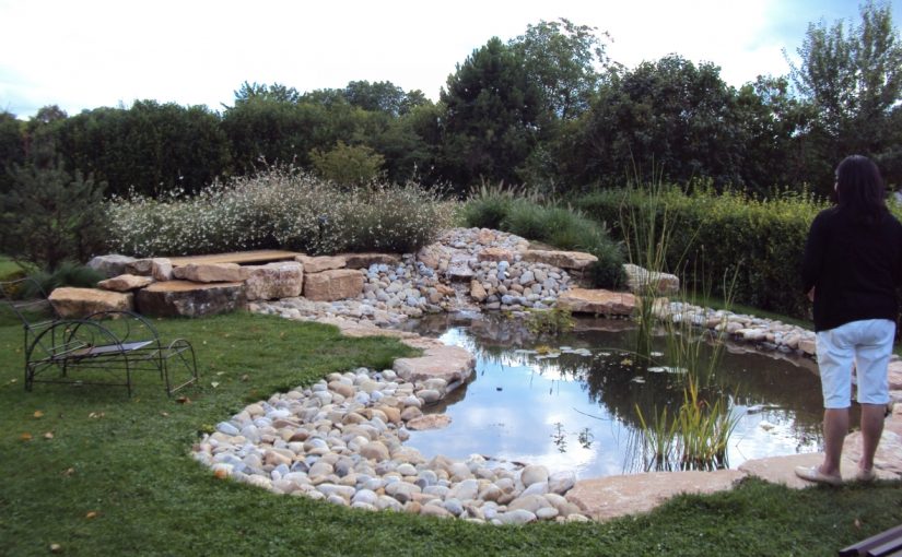Bassin naturel avec ruisseau et cascade