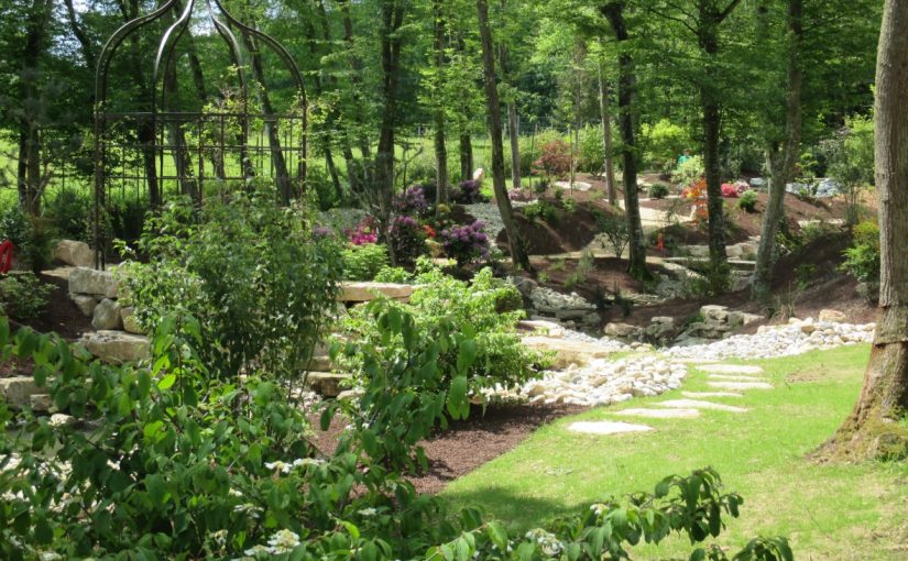 Jardin en sous-bois